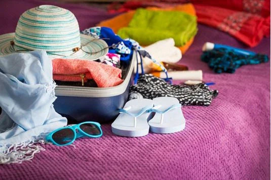 mala de viagens com percevejos