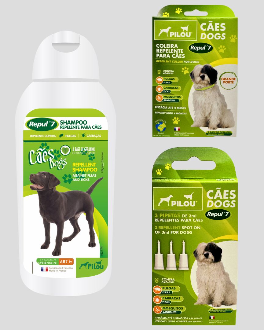 kit para eliminar pulgas no cão