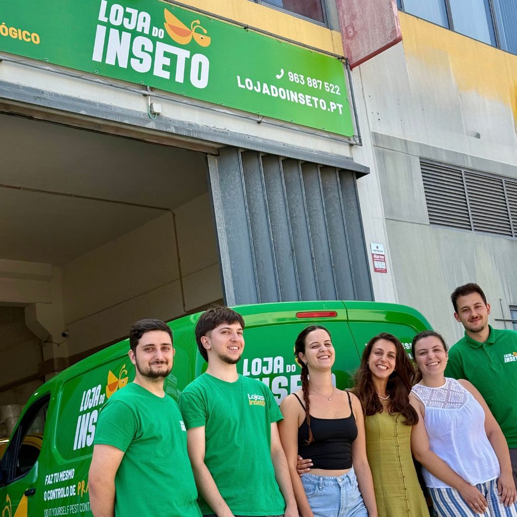 equipa loja do inseto