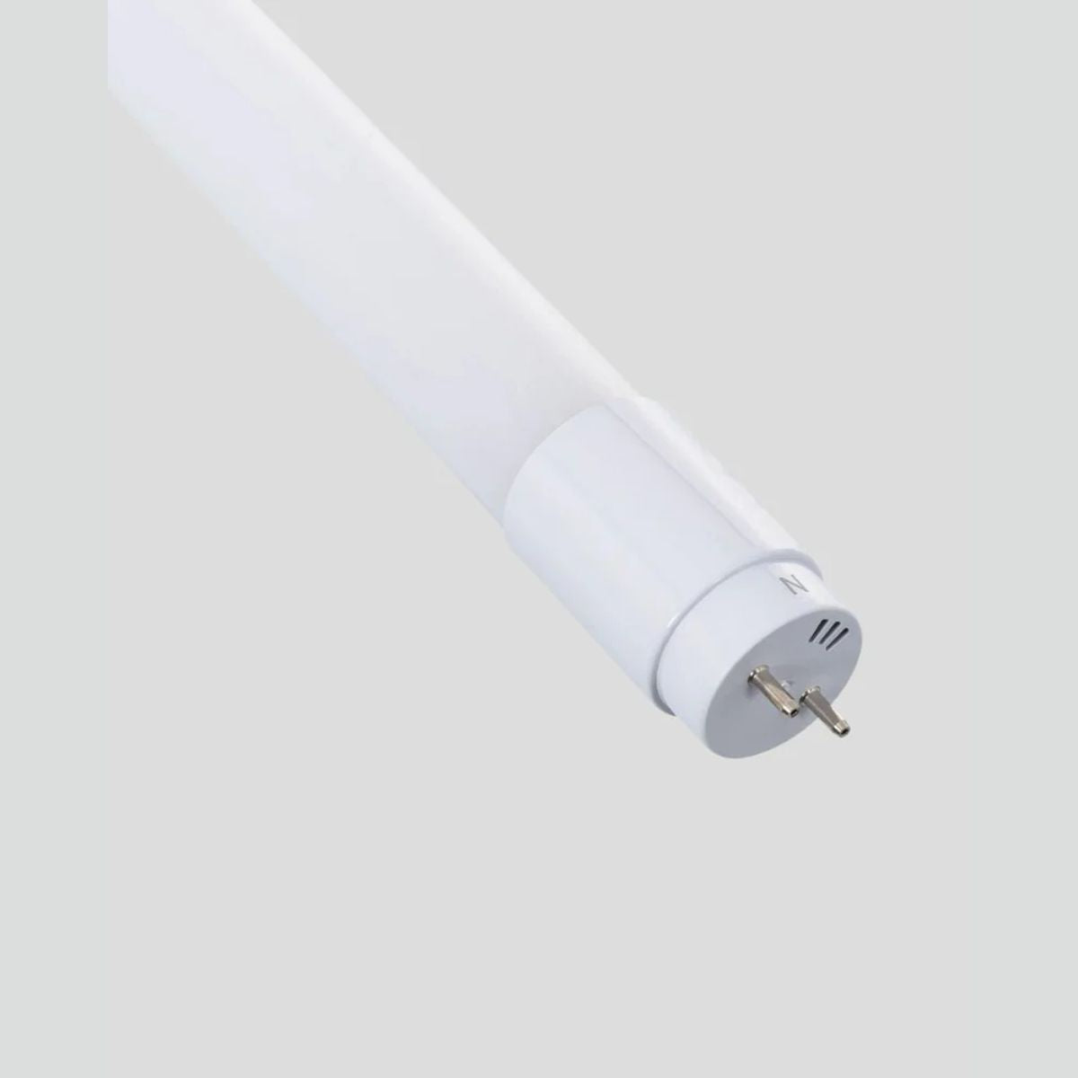 lâmpada LED para inseto caçadores