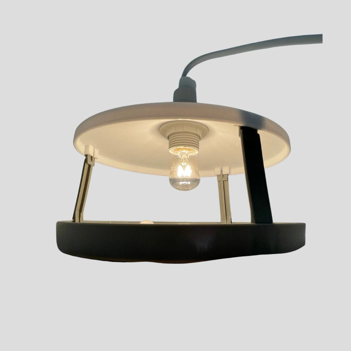 armadilha com luz e calor para atrair pulgas