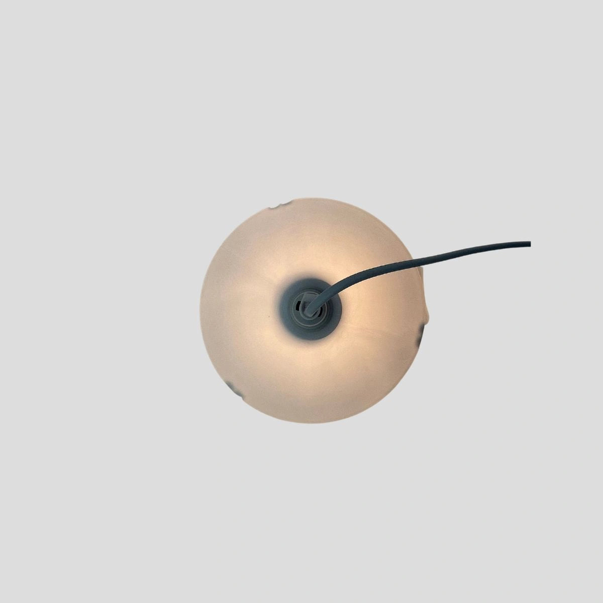 luz para atrair pulgas
