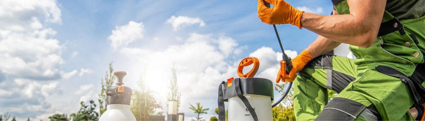 adubos para cuidar do jardim de casa