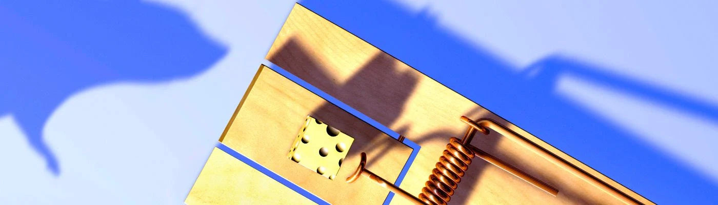 ratoeiras para ratos 