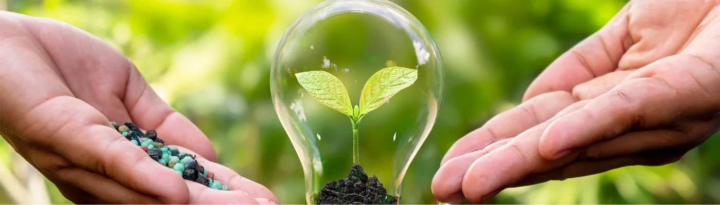 fertilizantes para o crescimento saudável das plantas