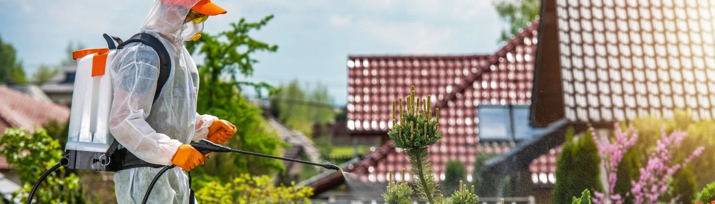 inseticidas nas plantas