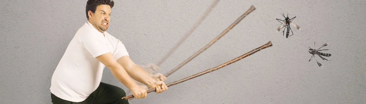homem a matar os mosquitos todos