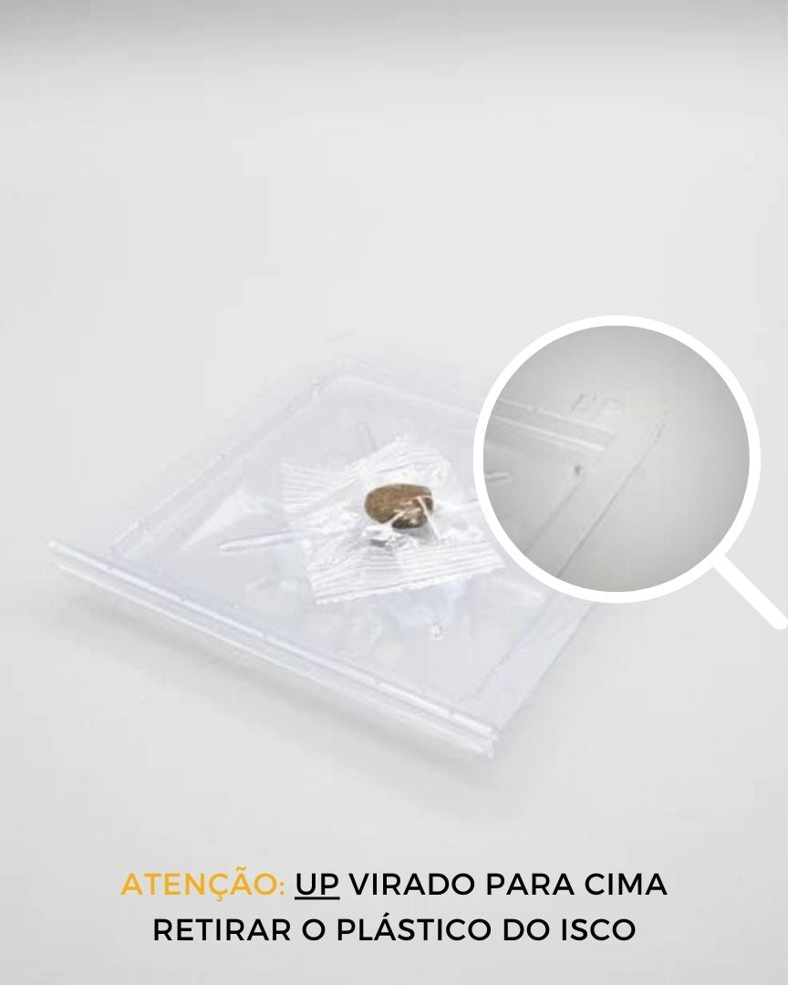 Pack 5 Armadilhas para Peixinho Prata