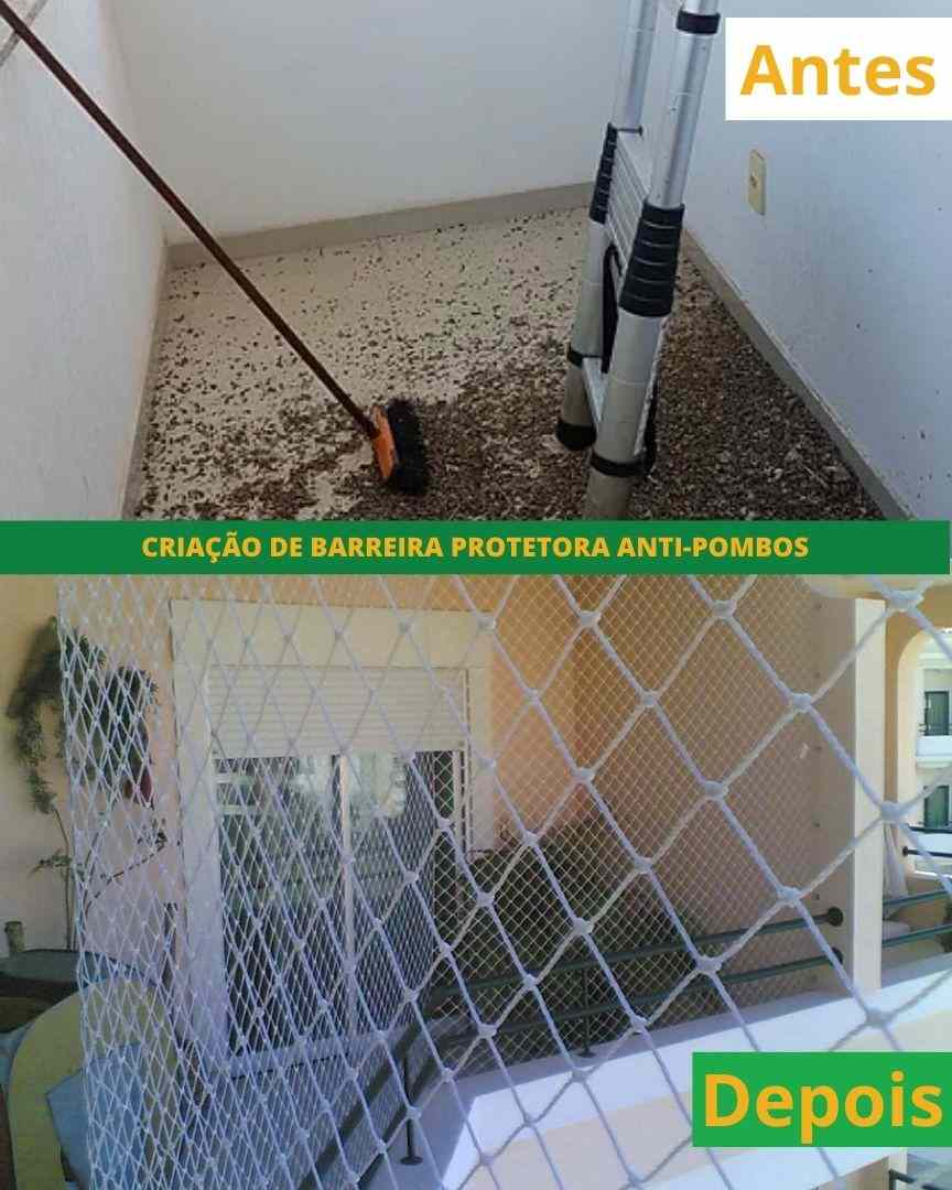 Barreira protetora anti-pombos