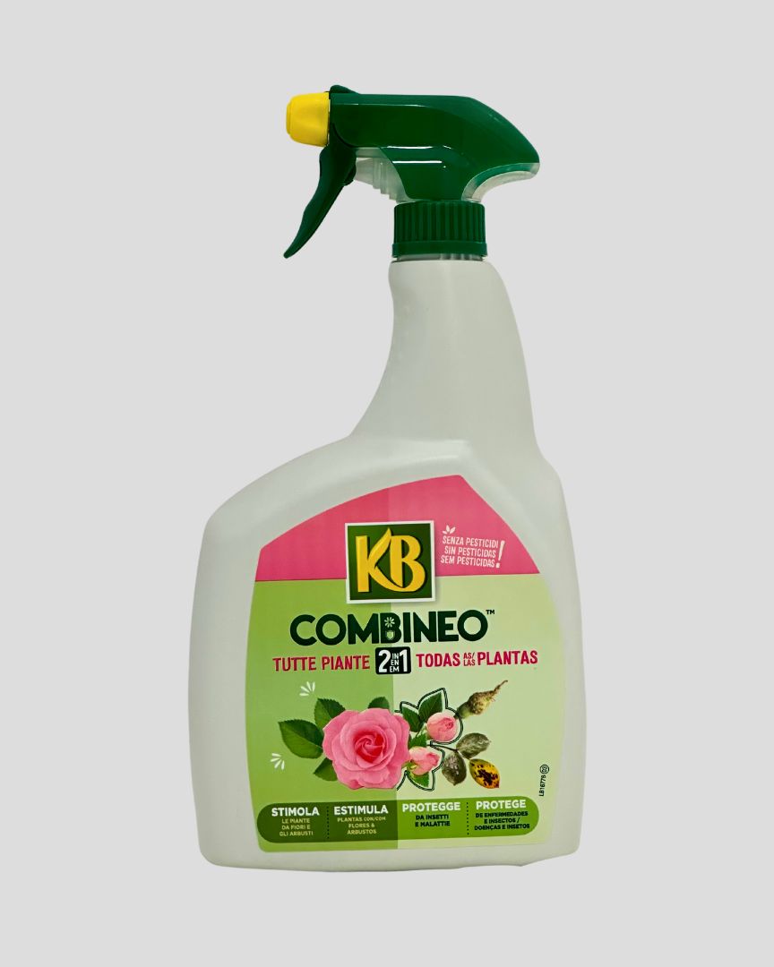 KB spray para roseiras