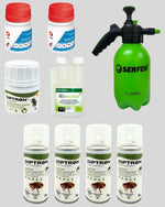kit para eliminar percevejos no hotel