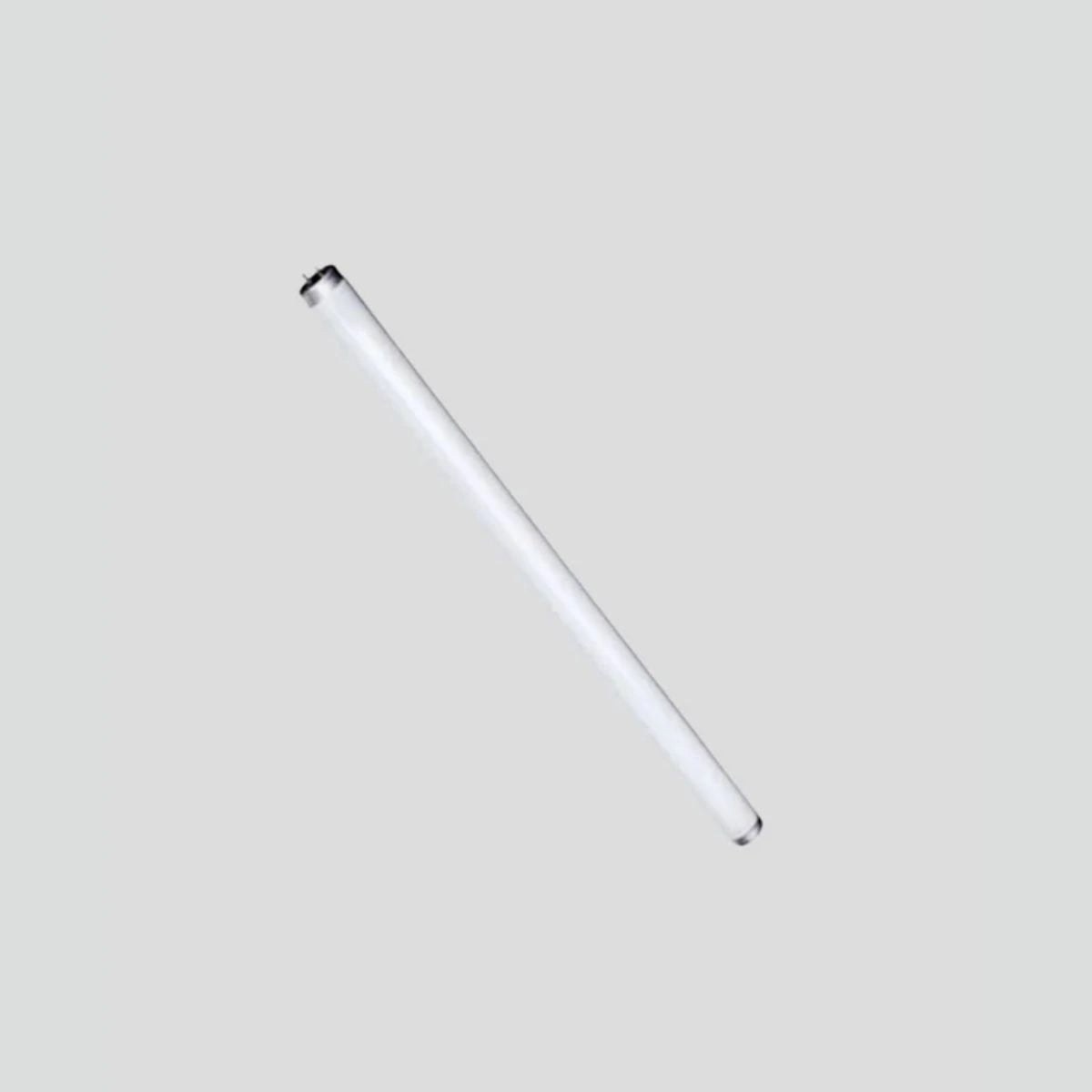 Lampada florescente para inseto caçador