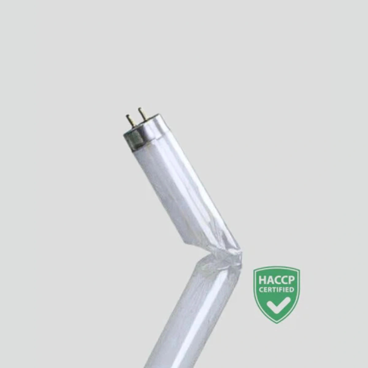 lâmpada para HACCP