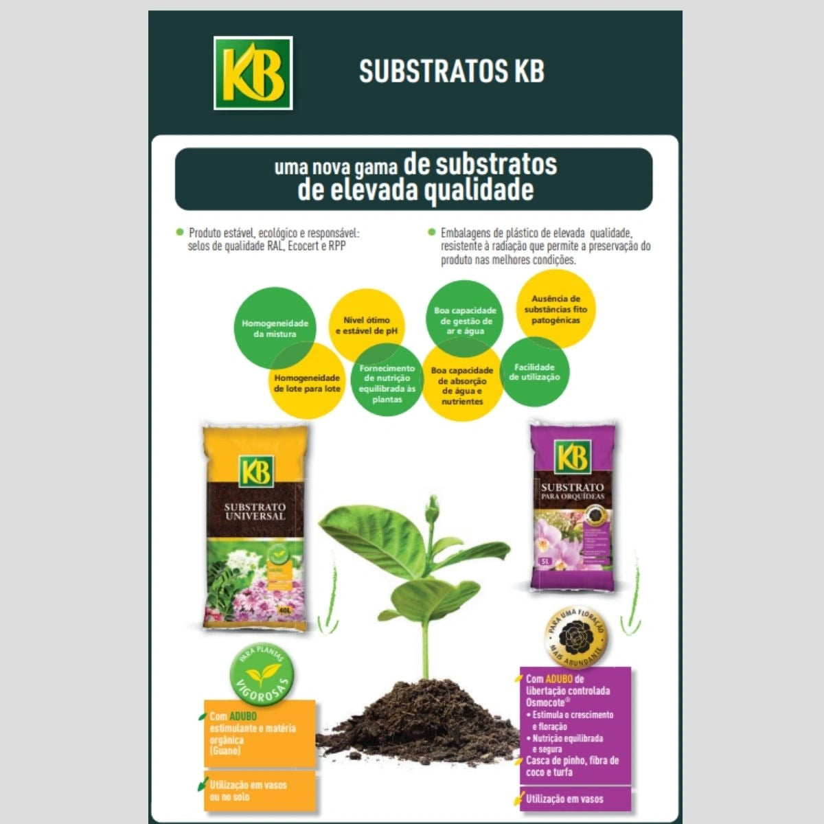 substratos kb elevada qualidade